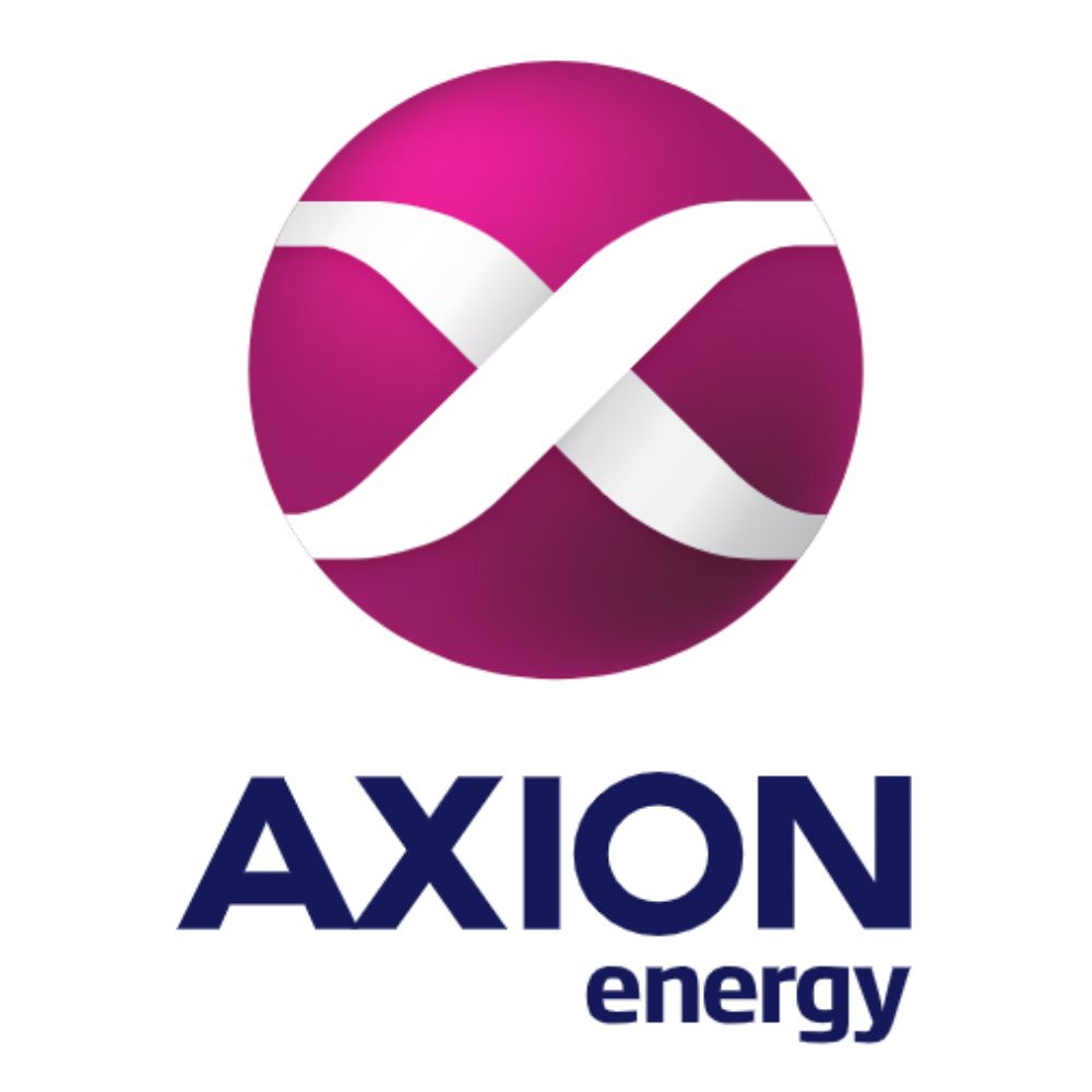 Axion